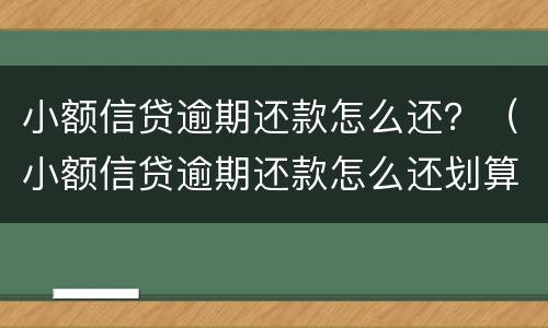 小额信贷逾期还款怎么还？（小额信贷逾期还款怎么还划算）