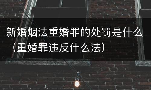新婚烟法重婚罪的处罚是什么（重婚罪违反什么法）