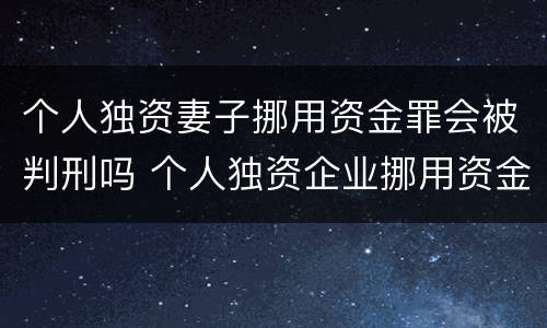 个人独资妻子挪用资金罪会被判刑吗 个人独资企业挪用资金 判例