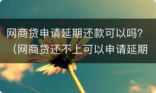 网商贷申请延期还款可以吗？（网商贷还不上可以申请延期吗）