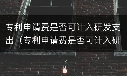 专利申请费是否可计入研发支出（专利申请费是否可计入研发支出费用）