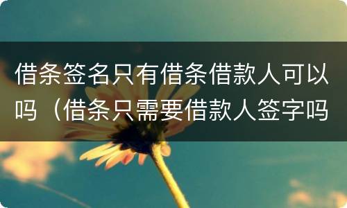 借条签名只有借条借款人可以吗（借条只需要借款人签字吗）