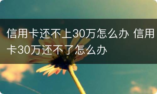 信用卡还不上30万怎么办 信用卡30万还不了怎么办