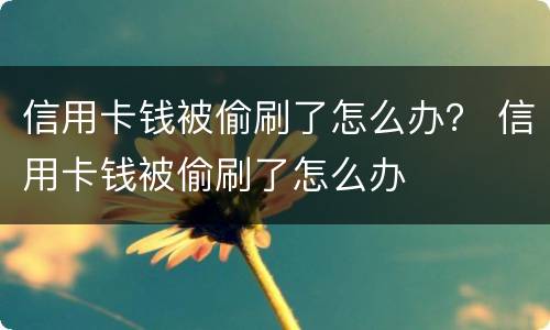 信用卡钱被偷刷了怎么办？ 信用卡钱被偷刷了怎么办