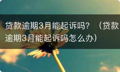 贷款逾期3月能起诉吗？（贷款逾期3月能起诉吗怎么办）