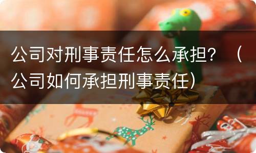 公司对刑事责任怎么承担？（公司如何承担刑事责任）