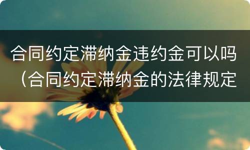 合同约定滞纳金违约金可以吗（合同约定滞纳金的法律规定）