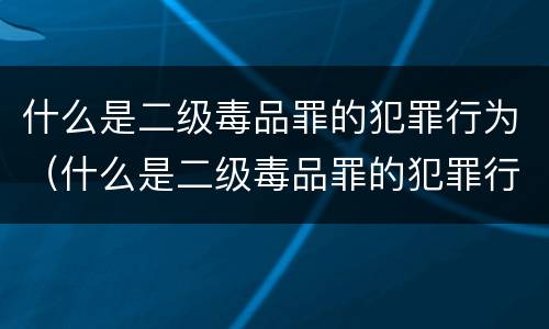 什么是二级毒品罪的犯罪行为（什么是二级毒品罪的犯罪行为）