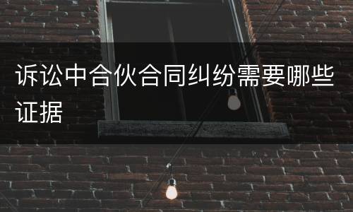 诉讼中合伙合同纠纷需要哪些证据