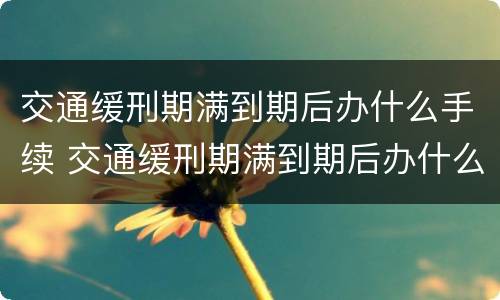 交通缓刑期满到期后办什么手续 交通缓刑期满到期后办什么手续最快