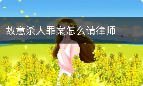 故意杀人罪案怎么请律师