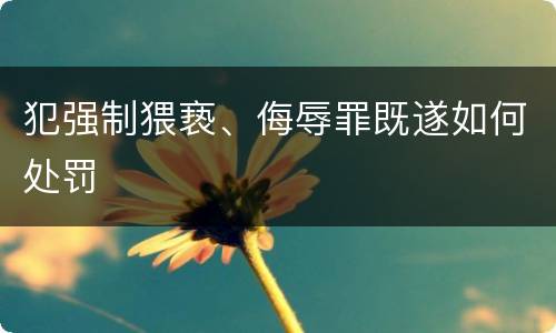 犯强制猥亵、侮辱罪既遂如何处罚