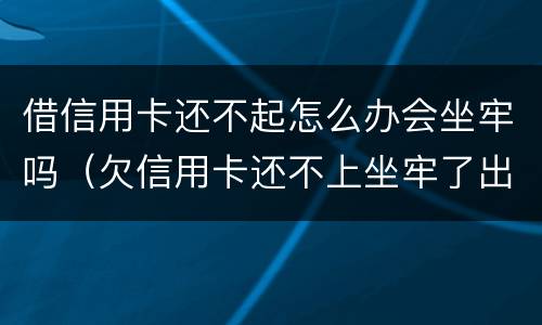借信用卡还不起怎么办会坐牢吗（欠信用卡还不上坐牢了出来不还会怎么样）