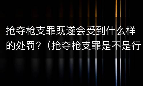 抢夺枪支罪既遂会受到什么样的处罚?（抢夺枪支罪是不是行为犯）