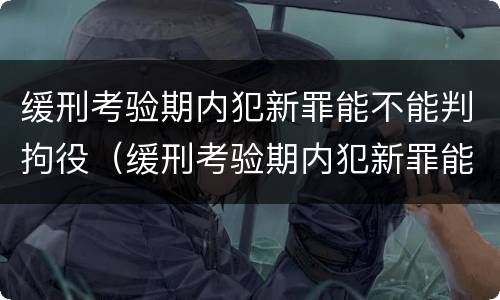 缓刑考验期内犯新罪能不能判拘役（缓刑考验期内犯新罪能不能判拘役呢）