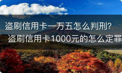 盗刷信用卡一万五怎么判刑？ 盗刷信用卡1000元的怎么定罪