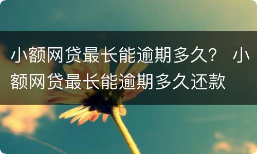 小额网贷最长能逾期多久？ 小额网贷最长能逾期多久还款