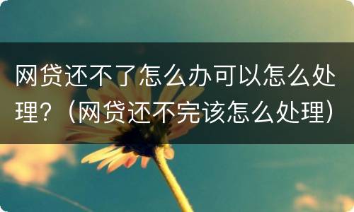 网贷还不了怎么办可以怎么处理?（网贷还不完该怎么处理）