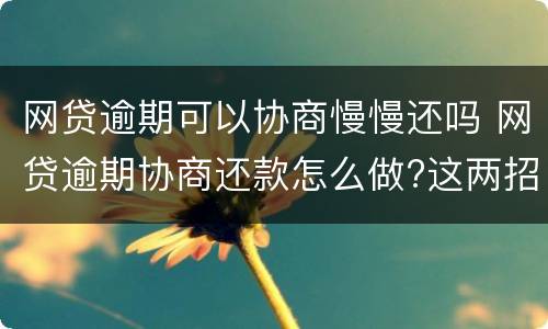 网贷逾期可以协商慢慢还吗 网贷逾期协商还款怎么做?这两招就够了
