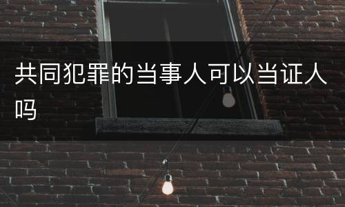 共同犯罪的当事人可以当证人吗
