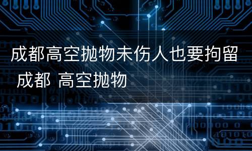 成都高空抛物未伤人也要拘留 成都 高空抛物