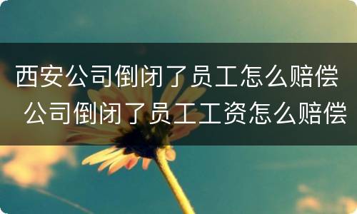 西安公司倒闭了员工怎么赔偿 公司倒闭了员工工资怎么赔偿