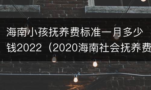 海南小孩抚养费标准一月多少钱2022（2020海南社会抚养费多少钱）