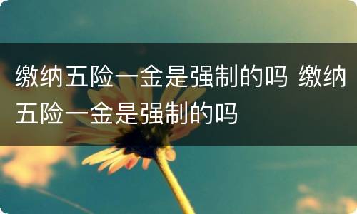 缴纳五险一金是强制的吗 缴纳五险一金是强制的吗