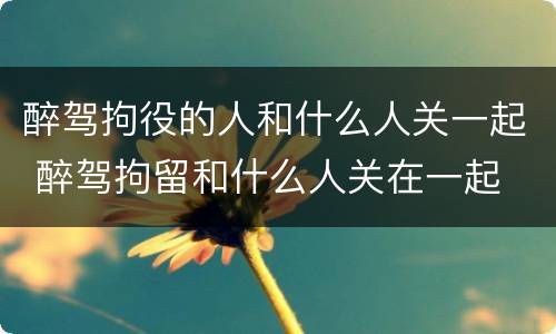 醉驾拘役的人和什么人关一起 醉驾拘留和什么人关在一起