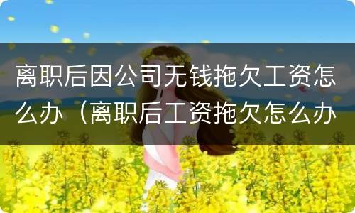 离职后因公司无钱拖欠工资怎么办（离职后工资拖欠怎么办没有工资条）