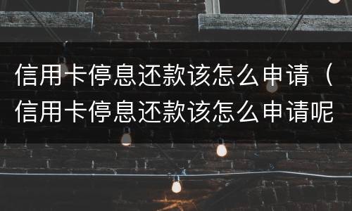 信用卡停息还款该怎么申请（信用卡停息还款该怎么申请呢）