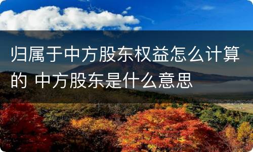 归属于中方股东权益怎么计算的 中方股东是什么意思