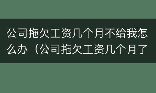 公司拖欠工资几个月不给我怎么办（公司拖欠工资几个月了怎么办）