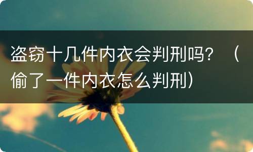 盗窃十几件内衣会判刑吗？（偷了一件内衣怎么判刑）