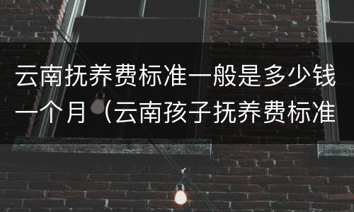云南抚养费标准一般是多少钱一个月（云南孩子抚养费标准2019）