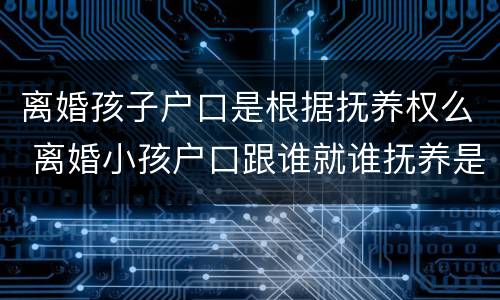 离婚孩子户口是根据抚养权么 离婚小孩户口跟谁就谁抚养是吗