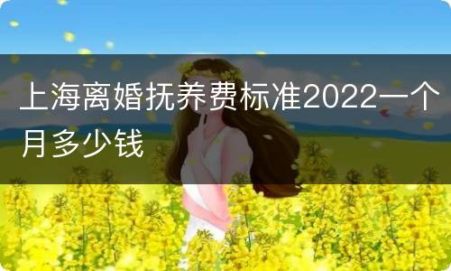 上海离婚抚养费标准2022一个月多少钱