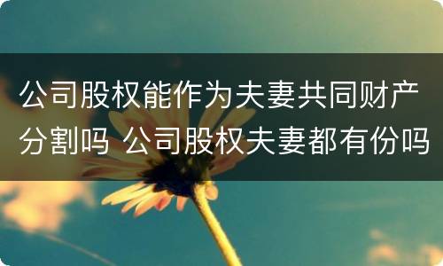 公司股权能作为夫妻共同财产分割吗 公司股权夫妻都有份吗