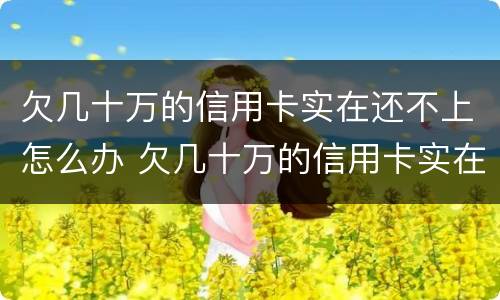 欠几十万的信用卡实在还不上怎么办 欠几十万的信用卡实在还不上怎么办呢