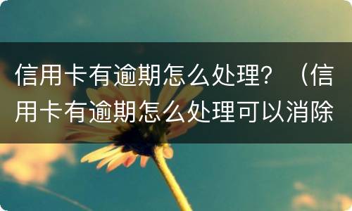 信用卡有逾期怎么处理？（信用卡有逾期怎么处理可以消除）