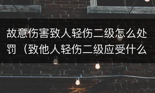 故意伤害致人轻伤二级怎么处罚（致他人轻伤二级应受什么处罚）