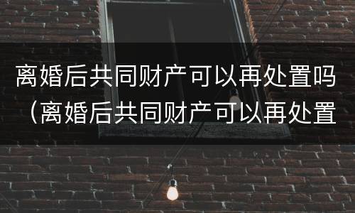 离婚后共同财产可以再处置吗（离婚后共同财产可以再处置吗法律）