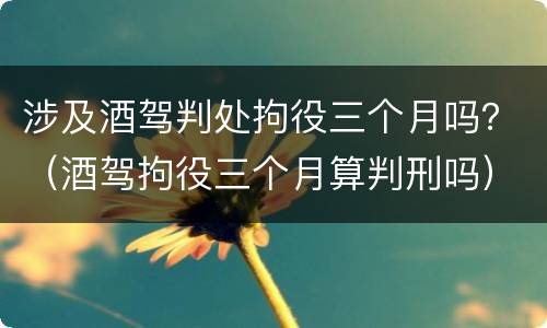 涉及酒驾判处拘役三个月吗？（酒驾拘役三个月算判刑吗）