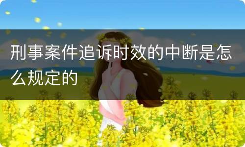 刑事案件追诉时效的中断是怎么规定的