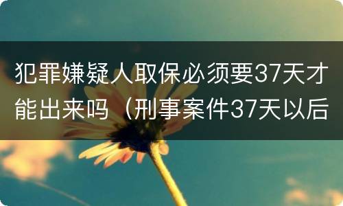 犯罪嫌疑人取保必须要37天才能出来吗（刑事案件37天以后可以取保候审吗）