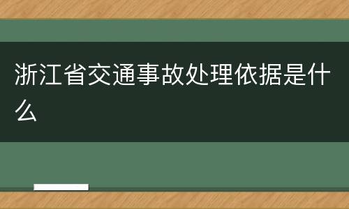 浙江省交通事故处理依据是什么