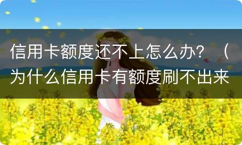 信用卡额度还不上怎么办？（为什么信用卡有额度刷不出来怎么办）