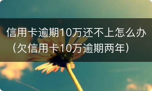 信用卡逾期10万还不上怎么办（欠信用卡10万逾期两年）
