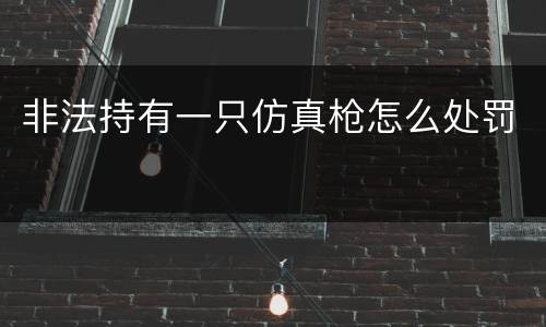 非法持有一只仿真枪怎么处罚