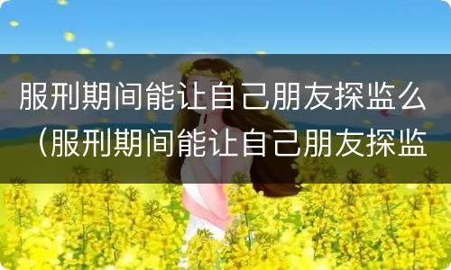 服刑期间能让自己朋友探监么（服刑期间能让自己朋友探监么嘛）